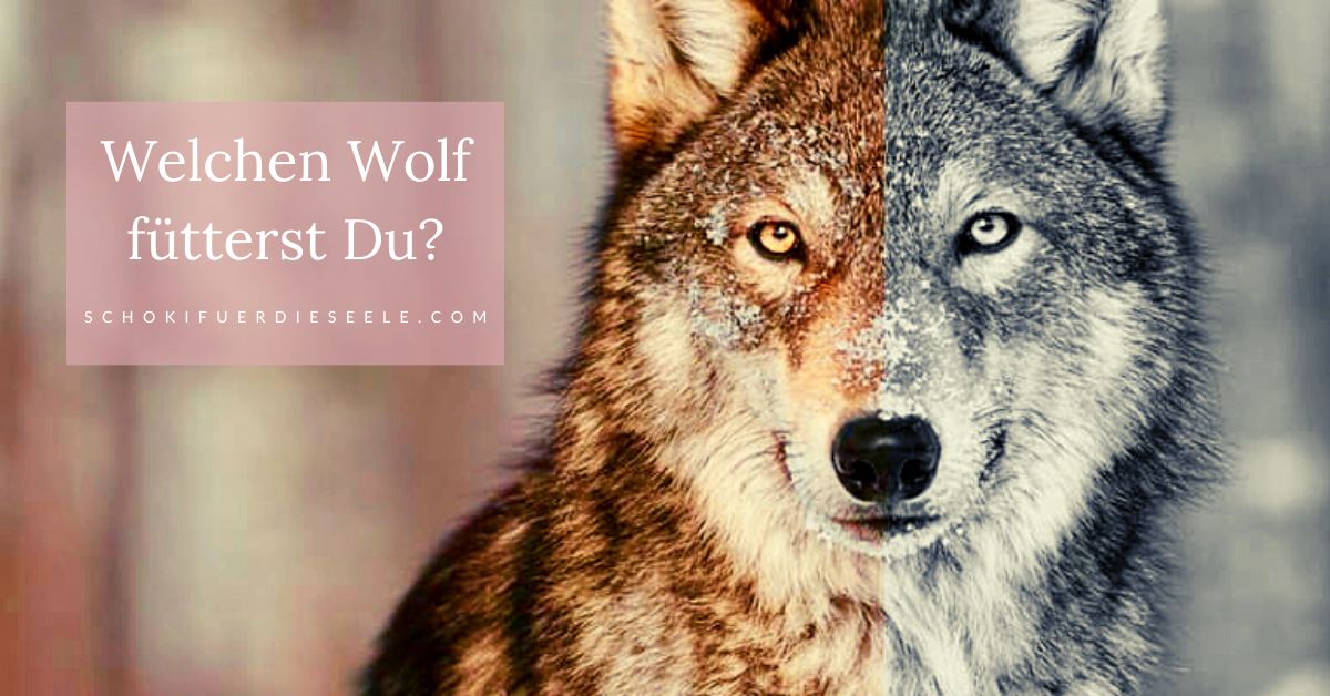 Wir alle haben zwei Wlfe in uns. Welchen Wolf ftterst Du?
